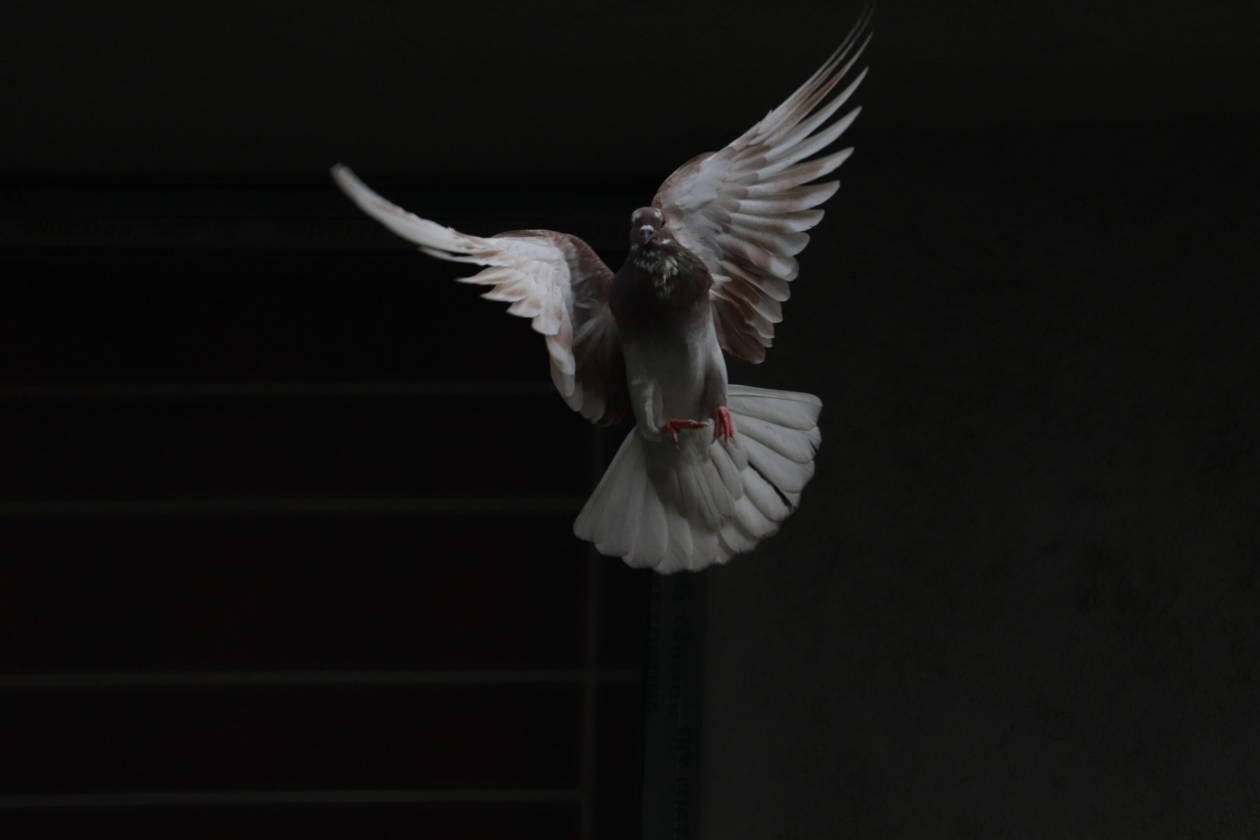 Come, Holy Spirit